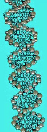 Schermafbeelding 2020-04-18 om 16.35.10